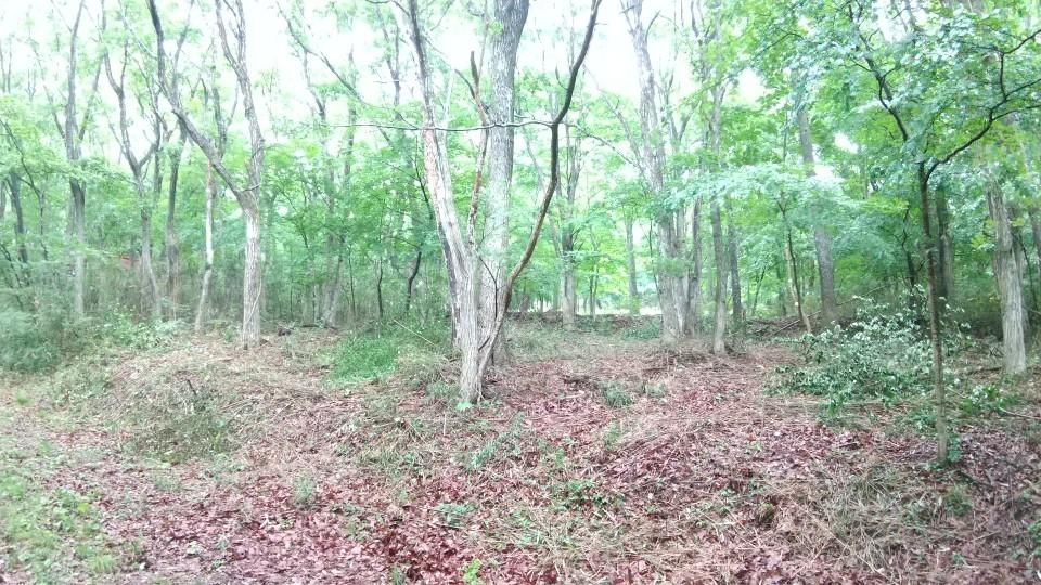 Villa Land for Sale in Nishigo Village, Fukushima - World Park - Thumbnail 4