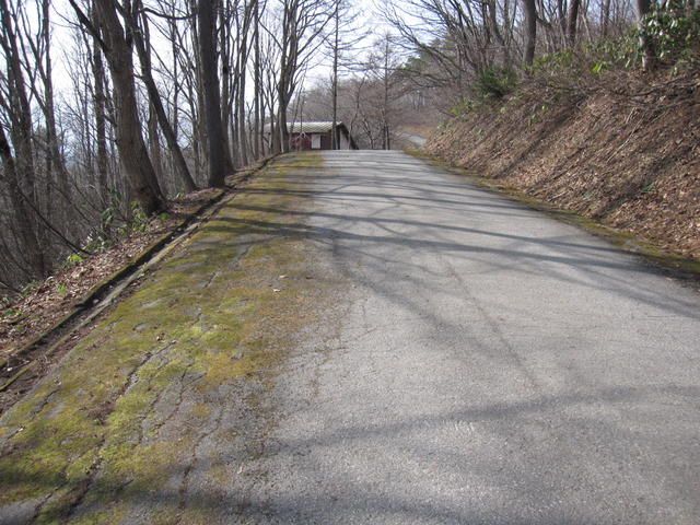 Vacant Forest Land for Villa in Shinano, Nagano - 315 sqm - Thumbnail 3