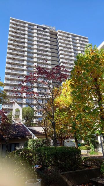 Renovated 4LDK Apartment in Edogawa, Tokyo | 91.48 sqm - Thumbnail 2