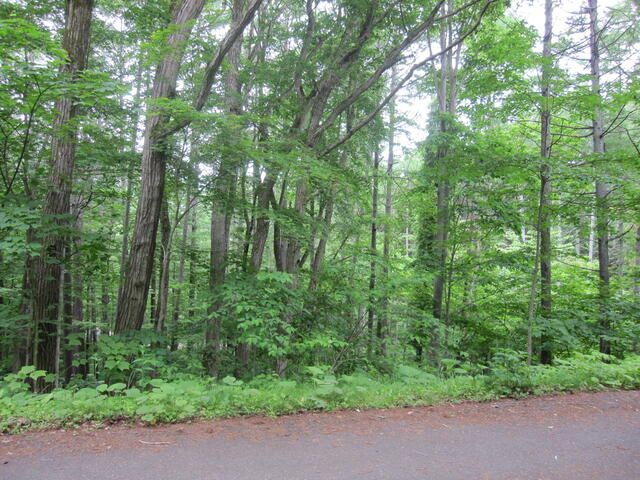 Vacant Land for Sale in Nojiriko Kogen, Shinano Town, Nagano - Thumbnail 2