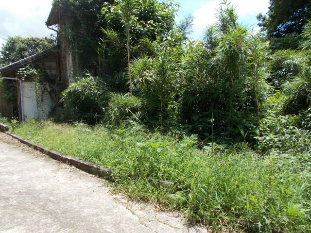 Residential Land for Sale in Hiyoshi City, Kagoshima - Thumbnail 4