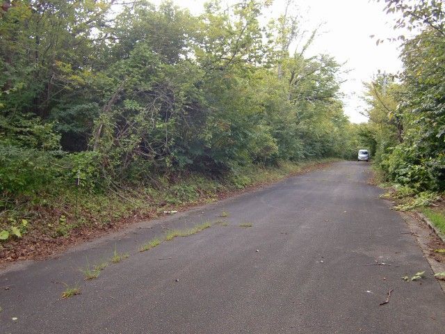 Vacant Land for Villa in Daisen, Tottori - 299 sqm Plot - Thumbnail 2