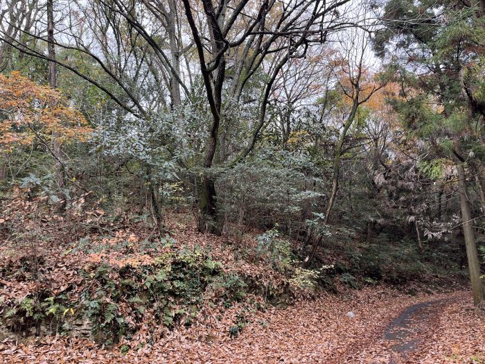 2,576 sqm Sloping Land for Sale in Kannonji, Kagawa - 800,000 JPY - Thumbnail 3