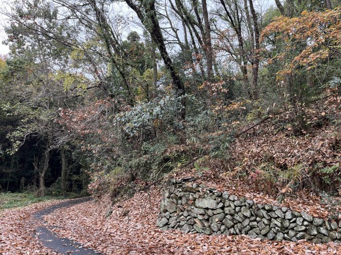 2,576 sqm Sloping Land for Sale in Kannonji, Kagawa - 800,000 JPY - Thumbnail 2