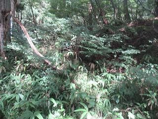 Vacant Land for Villa in Higashiagatsuma, Gunma - 84 sqm - Thumbnail 4