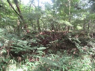 Vacant Land for Villa in Higashiagatsuma, Gunma - 84 sqm - Thumbnail 3