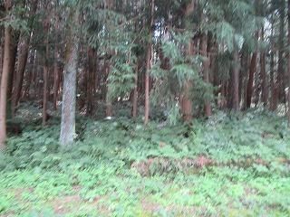 Vacant Land for Villa in Higashiagatsuma, Gunma - 84 sqm - Thumbnail 2