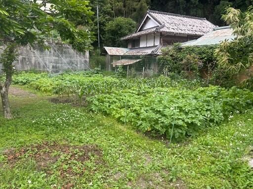 4DK Resale House in Shiso, Hyogo - 544.65 sqm Land - Thumbnail 3