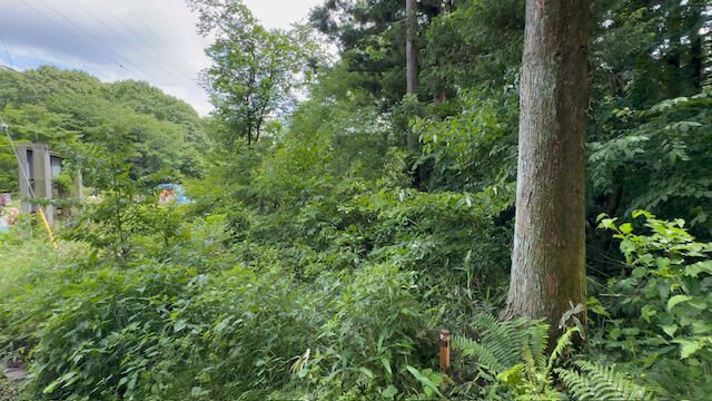Vacant Forest Land for Sale in Nasu, Tochigi - 284 sqm - Thumbnail 3