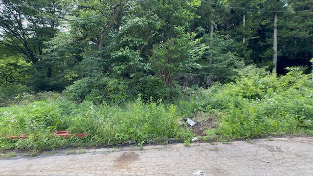 Vacant Forest Land for Sale in Nasu, Tochigi - 284 sqm - Thumbnail 2