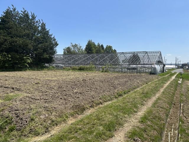 134 Tsubo Agricultural Land for Sale in Misato, Miyagi - Thumbnail 2