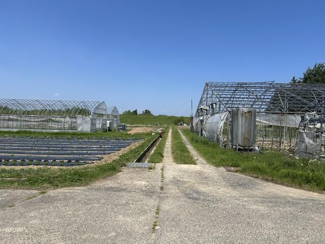 134 Tsubo Agricultural Land for Sale in Misato, Miyagi - Thumbnail 3