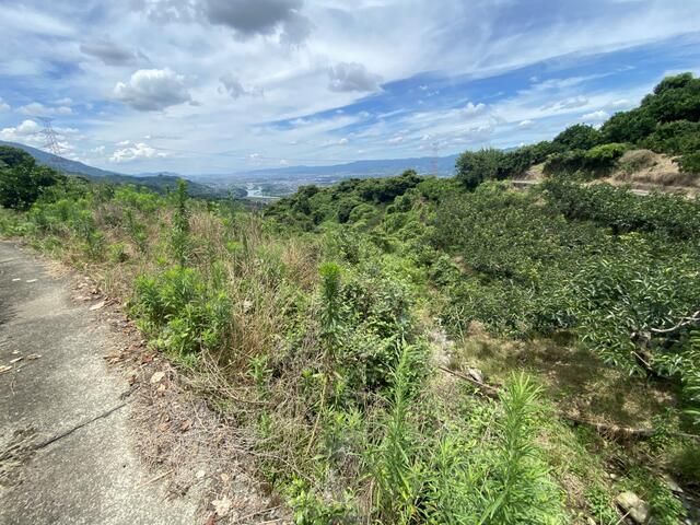 5,879 sqm Sloping Farmland for Sale in Kinokawa, Wakayama - Thumbnail 4