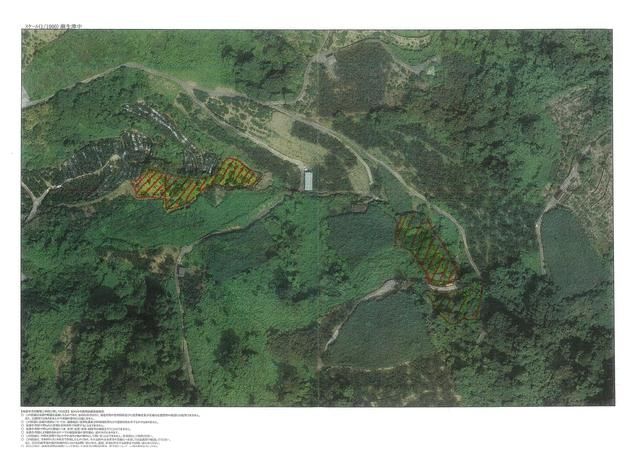 5,879 sqm Sloping Farmland for Sale in Kinokawa, Wakayama - Thumbnail 2