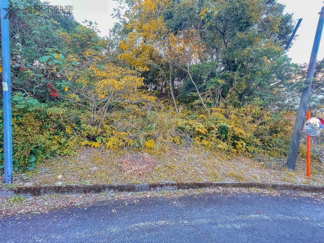 Pacific Ocean View Villa Plot for Sale in Miyazaki - Thumbnail 3