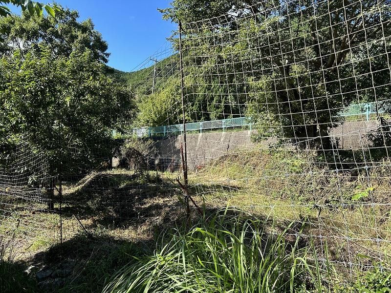Agricultural Land for Sale in Shimonoseki, Yamaguchi - 3,031 sqm - Thumbnail 3