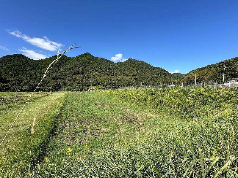 Agricultural Land for Sale in Shimonoseki, Yamaguchi - 3,031 sqm - Thumbnail 2
