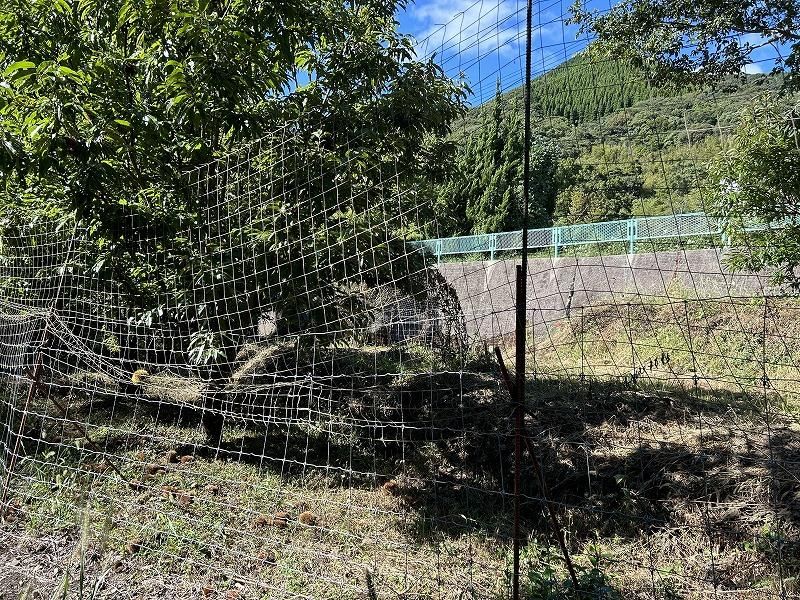 Agricultural Land for Sale in Shimonoseki, Yamaguchi - 3,031 sqm - Thumbnail 4