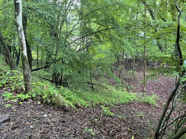 Land for Sale in Karuizawa Lake New Town, Nagano - Thumbnail 4