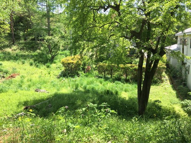 Residential Land for Sale in Kitaakira, Yamanashi - 361 sqm - Thumbnail 2
