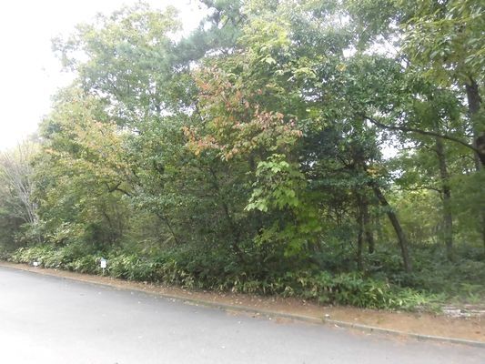 Residential Land for Sale in Shika Town, Ishikawa Prefecture - Thumbnail 2