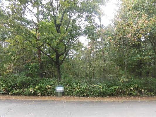 Residential Land for Sale in Shika Town, Ishikawa Prefecture - Thumbnail 3