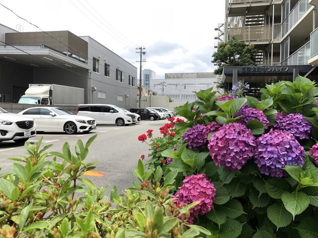 Renovated 3LDK Apartment near Mikuni Station, Osaka | 30.98M Yen - Thumbnail 3