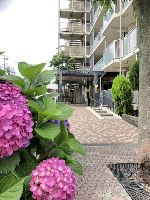 Renovated 3LDK Apartment near Mikuni Station, Osaka | 30.98M Yen - Thumbnail 2