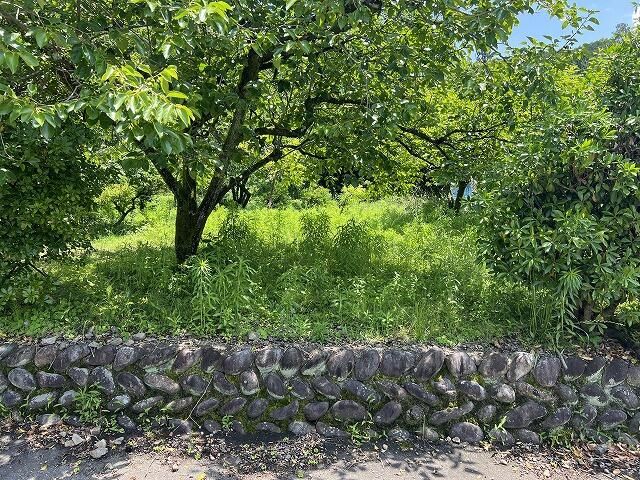Agricultural Land for Sale in Mino City, Gifu - Thumbnail 4