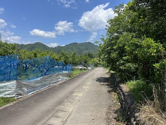 Agricultural Land for Sale in Mino City, Gifu - Thumbnail 3