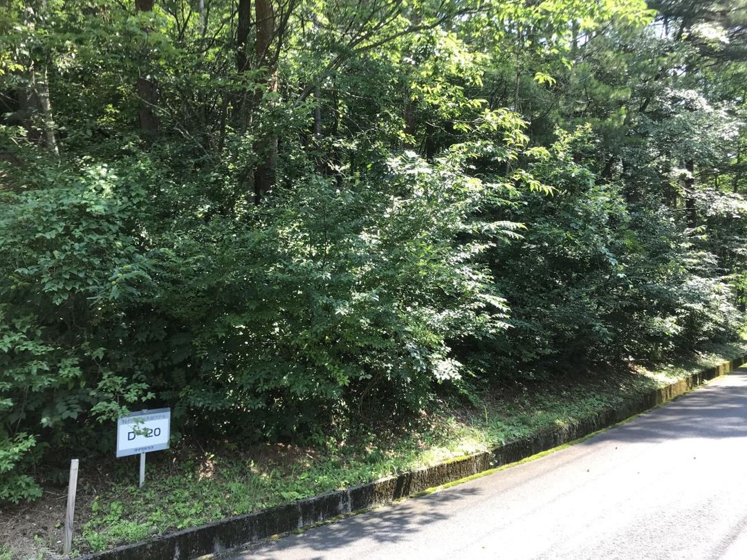 Vacation Land for Sale in Daisen-Oki National Park, Tottori - Thumbnail 2