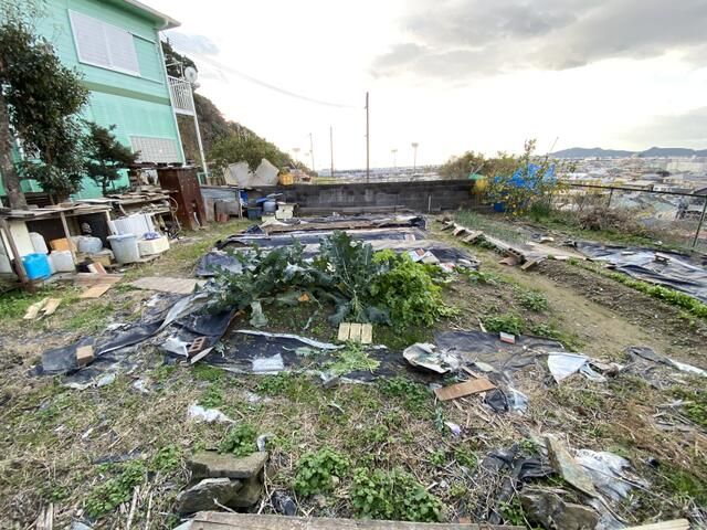 Wakayama City Land for Sale - Ideal Family Garden Plot - Thumbnail 4