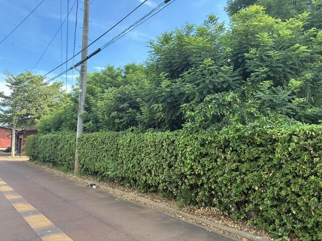 512.53 Tsubo Land for Sale in Tsubame City, Niigata - Thumbnail 2