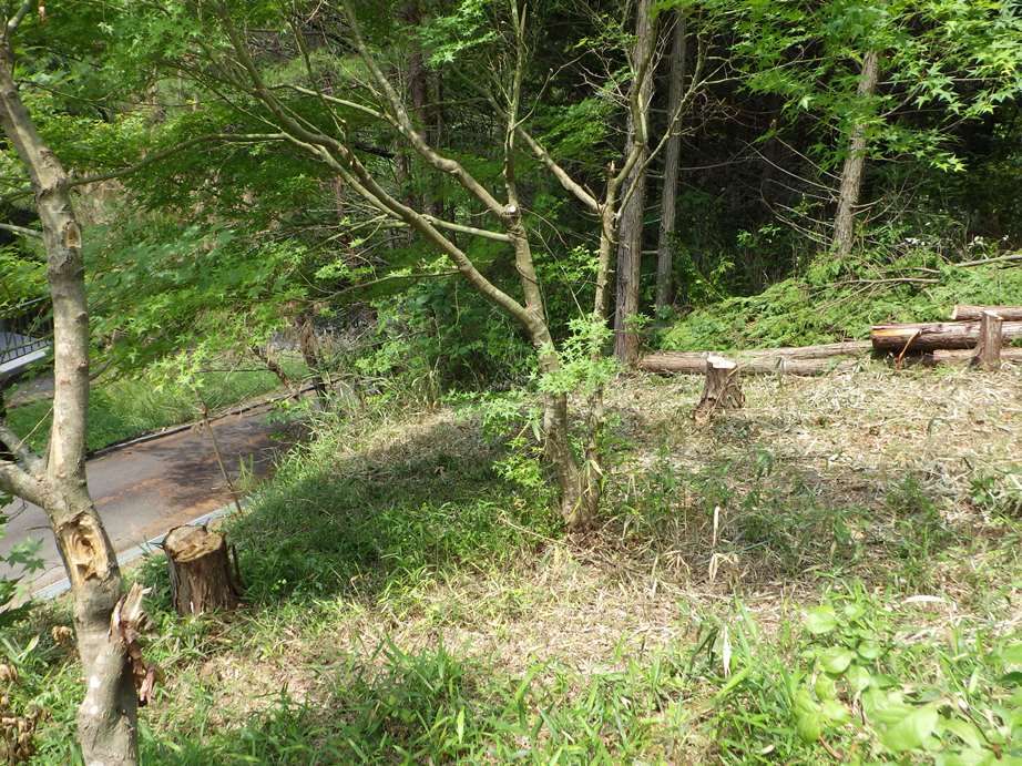 70.18 Tsubo Land for Sale in Mimasaka, Okayama - Villa Site - Thumbnail 2