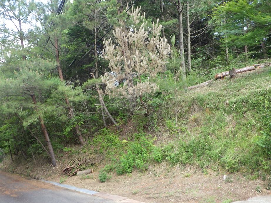 70.18 Tsubo Land for Sale in Mimasaka, Okayama - Villa Site - Thumbnail 3