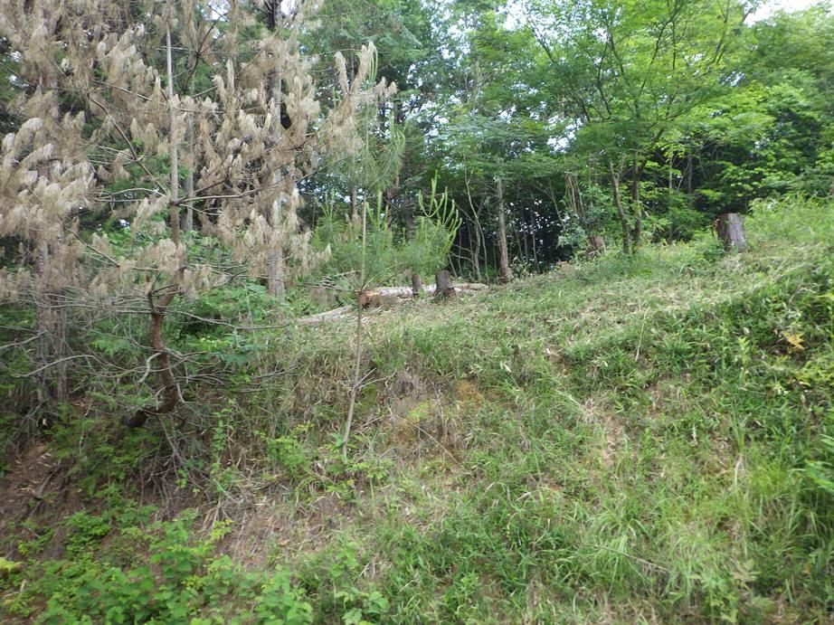 70.18 Tsubo Land for Sale in Mimasaka, Okayama - Villa Site - Thumbnail 4