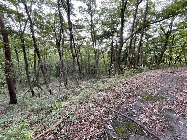 260 sqm Sloped Land for Vacation Home in Gifu City - Thumbnail 2