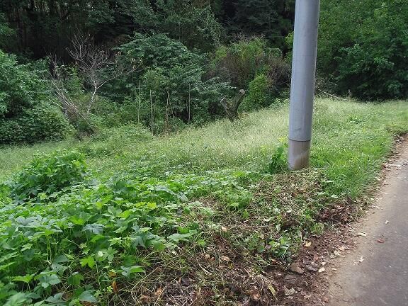 Land for Sale in Hachioji, Tokyo - Materials Storage Site - Thumbnail 4