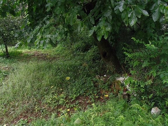 Land for Sale in Hachioji, Tokyo - Materials Storage Site - Thumbnail 2