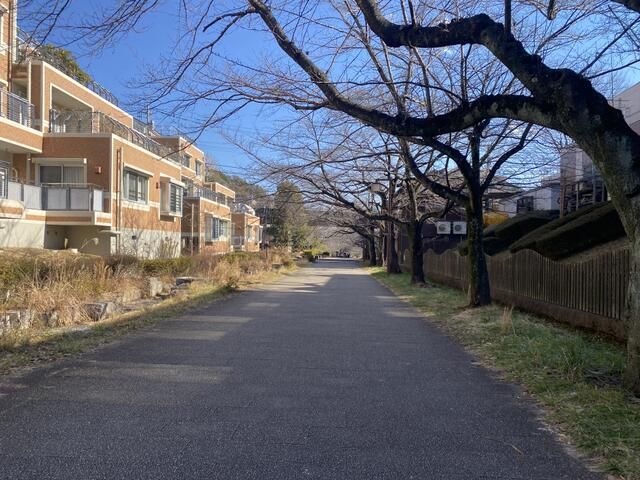 4LDK Apartment for Sale in Hachioji, Tokyo with Rental Income - Thumbnail 4