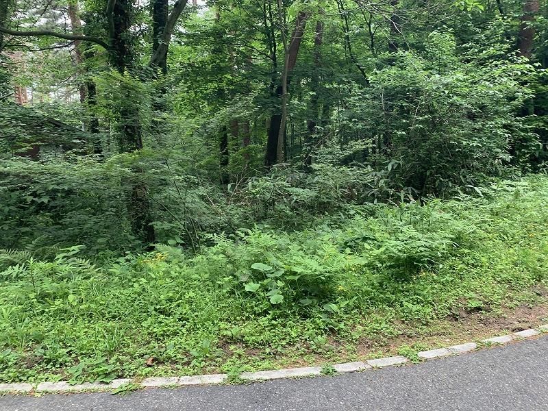 Villa Plot in Hoki Town with Mount Daisen Views | 774 sqm Land - Thumbnail 2