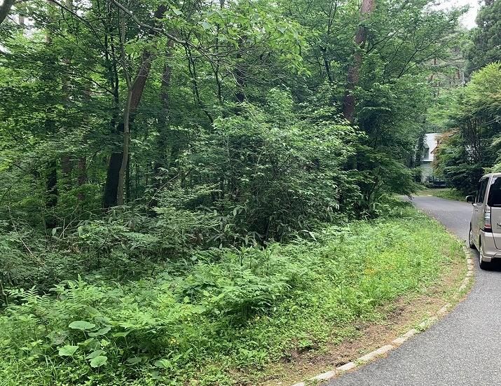 Villa Plot in Hoki Town with Mount Daisen Views | 774 sqm Land - Thumbnail 3