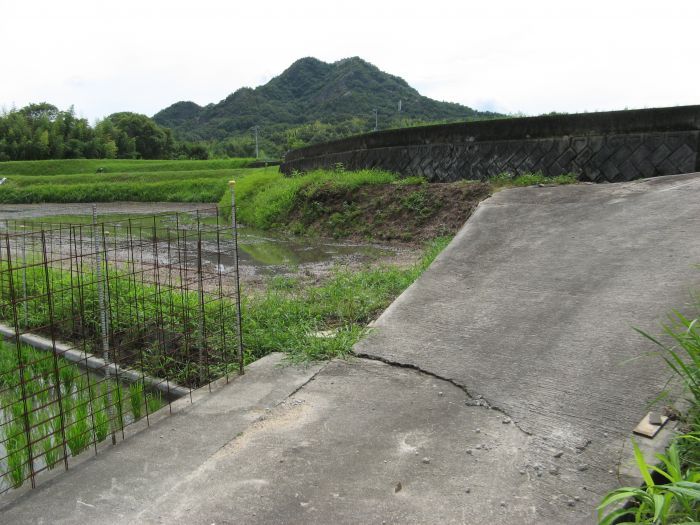 Agricultural Land for Sale in Mikicho, Kagawa - 1,232 sqm Plot - Thumbnail 2