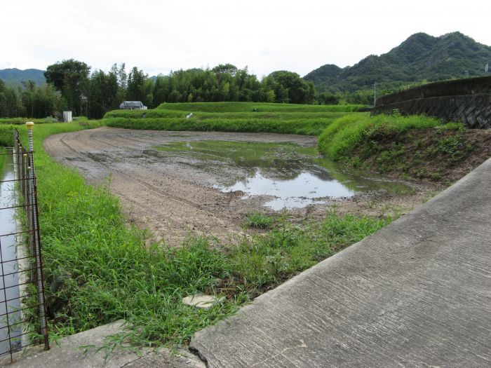Agricultural Land for Sale in Mikicho, Kagawa - 1,232 sqm Plot - Thumbnail 3