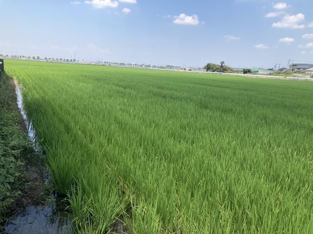 4DK Detached House for Sale in Chiryū, Aichi - 56.21 Tsubo Land - Thumbnail 4