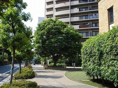 3LDK Apartment for Sale in Shinonome, Koto Ward, Tokyo - Thumbnail 3