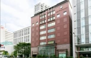Renovated 3LDK Corner Apartment for Sale in Akasaka, Tokyo - Thumbnail 4