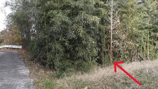Farmland for Sale in Okazaki, Aichi - 74 sqm Plot - Thumbnail 2