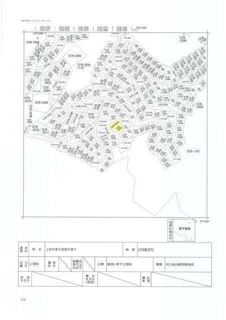 Vacant Villa Land for Sale in Nagano's Sugadaira Highlands - Thumbnail 3