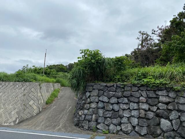 Land for Sale in Oshima, Tokyo - 1156 sqm Retreat Plot - Thumbnail 3
